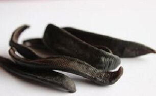 Dried leeches for pharmaceutical ointments