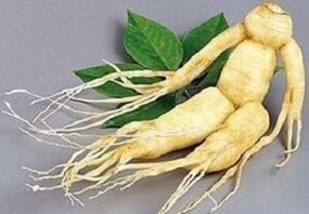Ginseng root for infusion