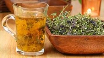 Thyme infusion increases penis size