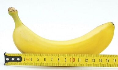The best size for the penis